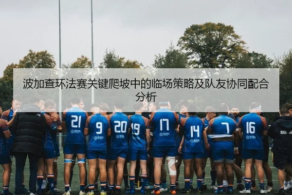 bo-jia-cha-huan-fa-sai-guan-jian-pa-po-zhong-de-lin-chang-ce-lve-ji-dui-you-xie-tong-pei-he-fen-xi-2-887.jpg
