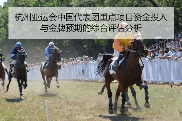 杭州亚运会中国代表团重点项目资金投入与金牌预期的综合评估分析